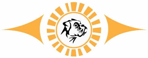 Sundog Electric logo