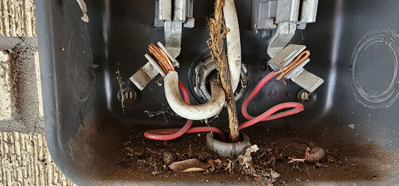 Service Upgrade